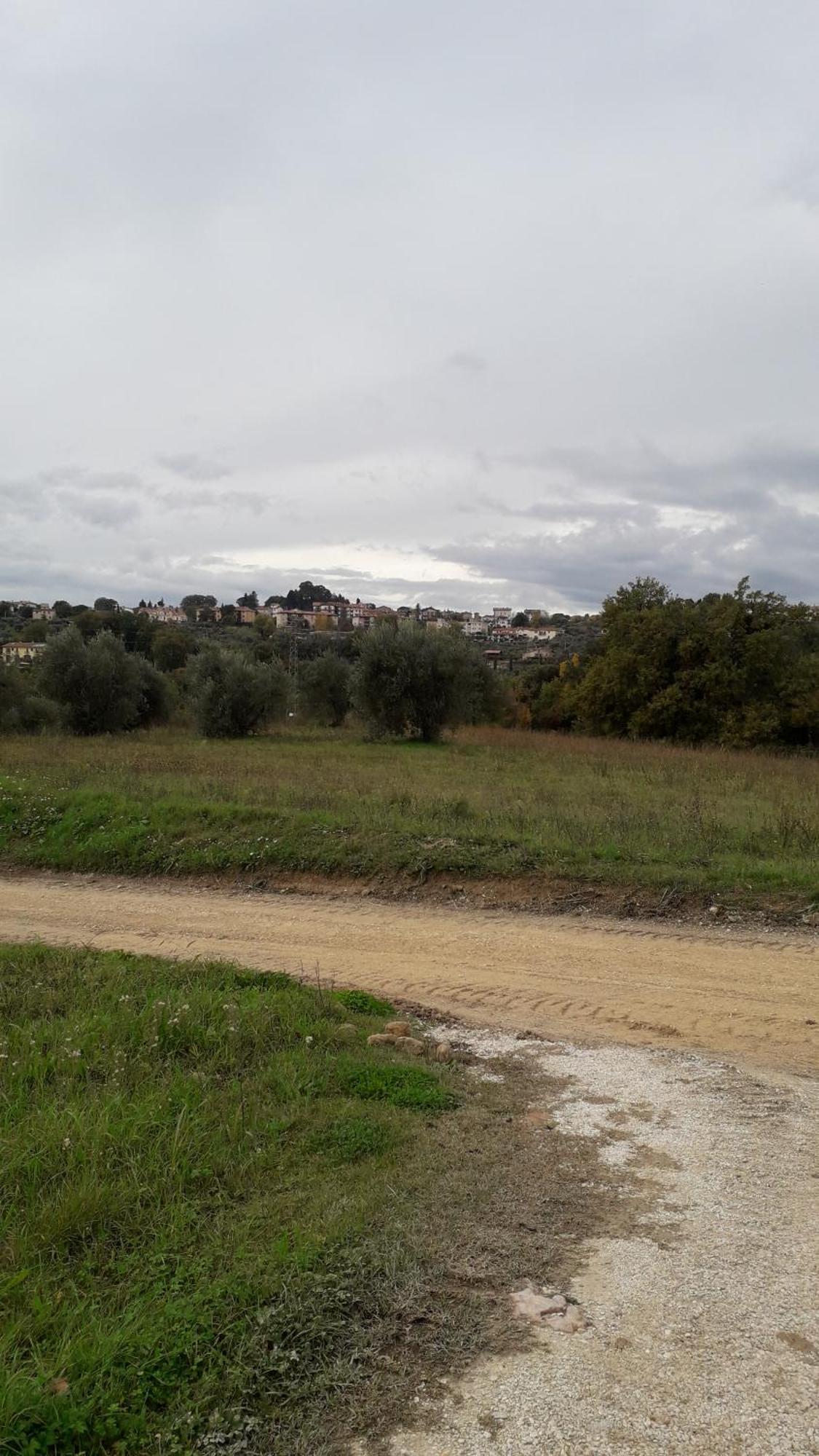 Agriturismo Marinella Amelia Buitenkant foto