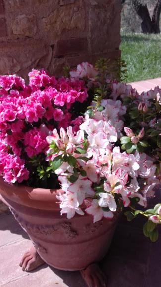 Agriturismo Marinella Amelia Buitenkant foto